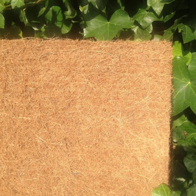 Kokosmat  op rol 200x500