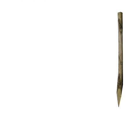 Ronde paal tamme kastanjehout geschild, ø6/8x250 cm